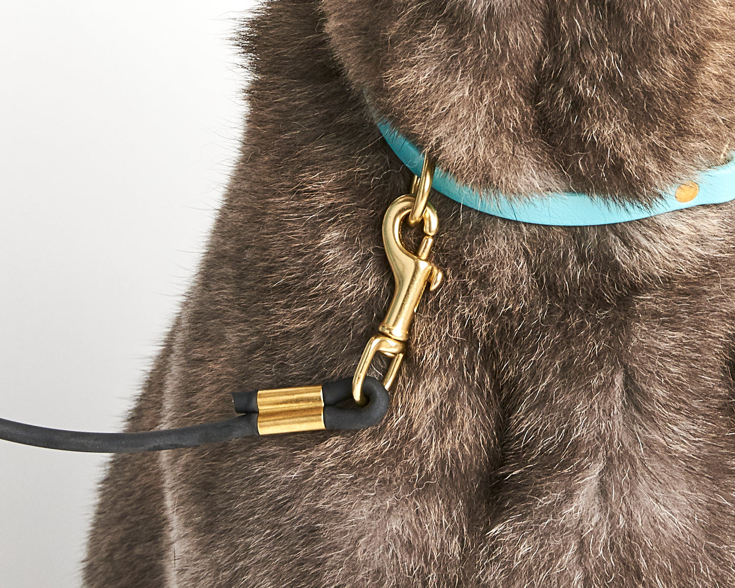 Multi-Function Waterproof Dog Collar: 1/2" Biothane Tag and Slip Collar with Custom Colors and Hardware