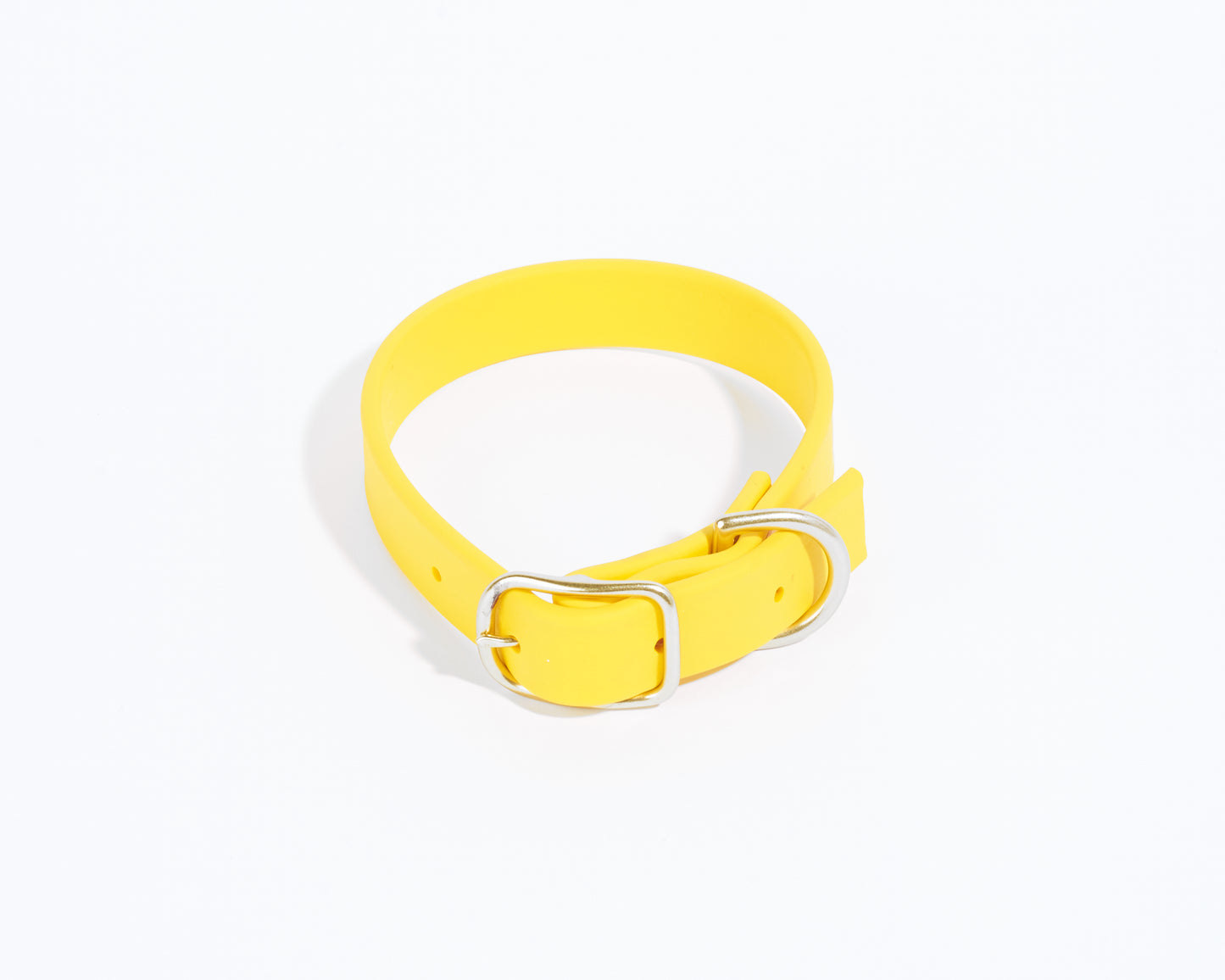 3/4" Waterproof Buckle Collar: Biothane Dog Collar with Custom Colors and Hardware