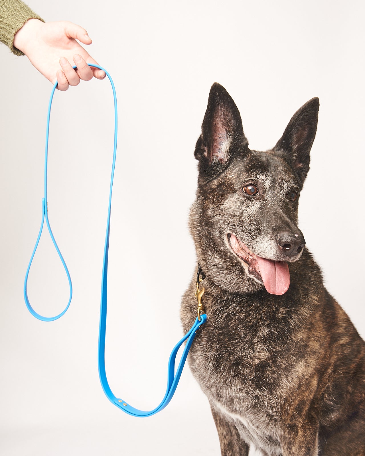 Flat Loop Double Handle Traffic Leash 2.0: Waterproof 3/4" Biothane with Natural Brass Hardware and Custom Colors