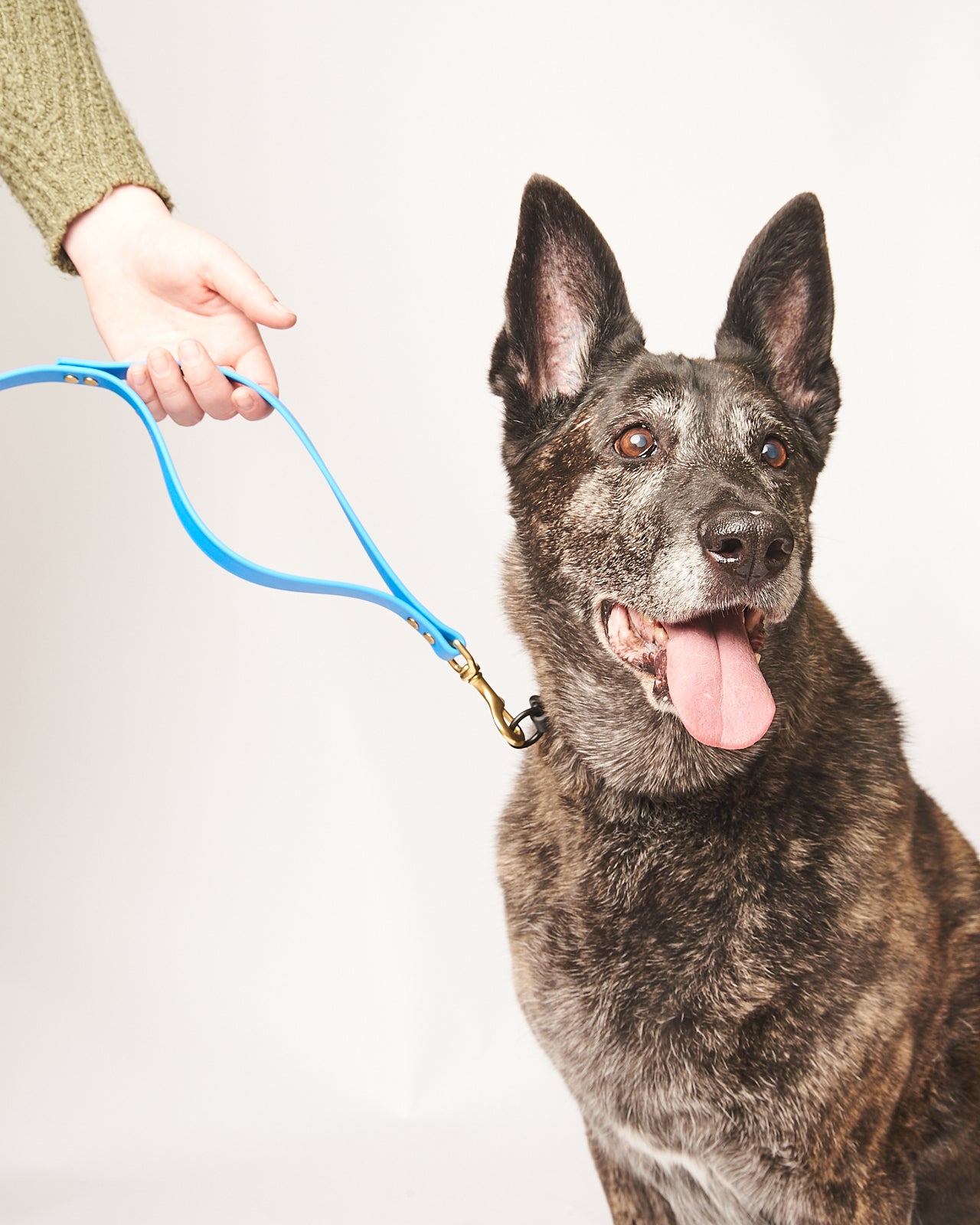 Flat Loop Double Handle Traffic Leash 2.0: Waterproof 3/4" Biothane with Natural Brass Hardware and Custom Colors