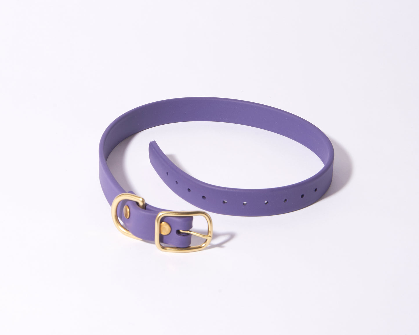3/4" Waterproof Buckle Collar: Biothane Dog Collar with Custom Colors and Hardware