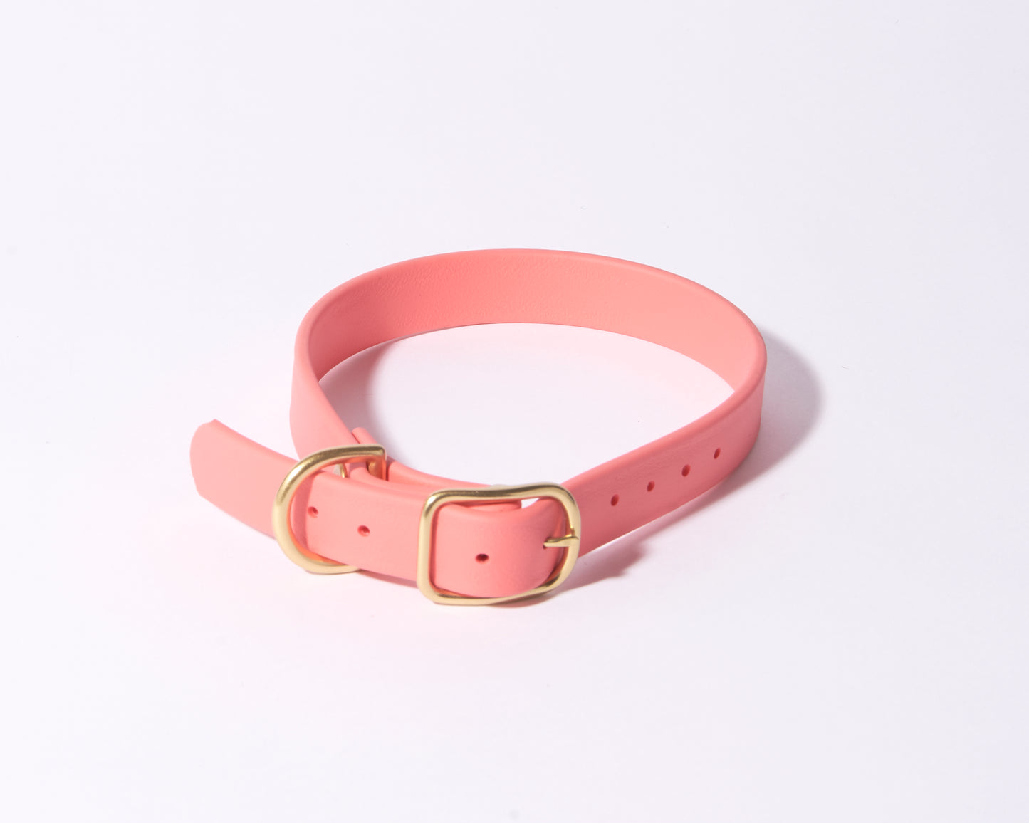 3/4" Waterproof Buckle Collar: Biothane Dog Collar with Custom Colors and Hardware