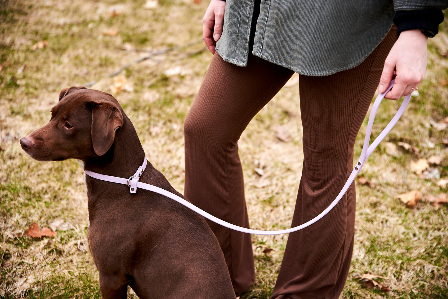 Adjustable 4 Foot Slip Leash: 1/2" Waterproof Biothane with Custom Colors and Hardware