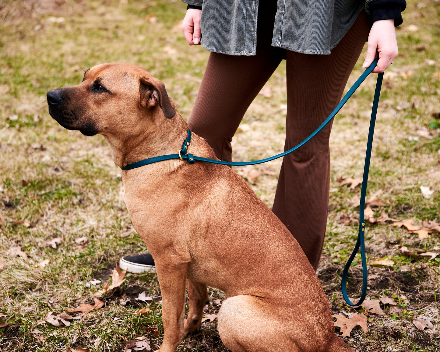 Adjustable 6 Foot Slip Leash: 1/2" Waterproof Biothane with Custom Colors and Hardware