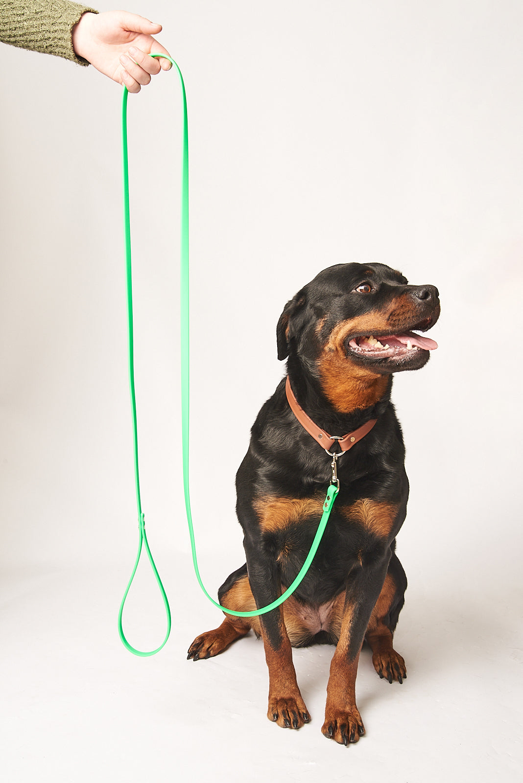 Standard 7 Foot Dog Leash: 1/2" Waterproof Biothane with Custom Colors and Hardware