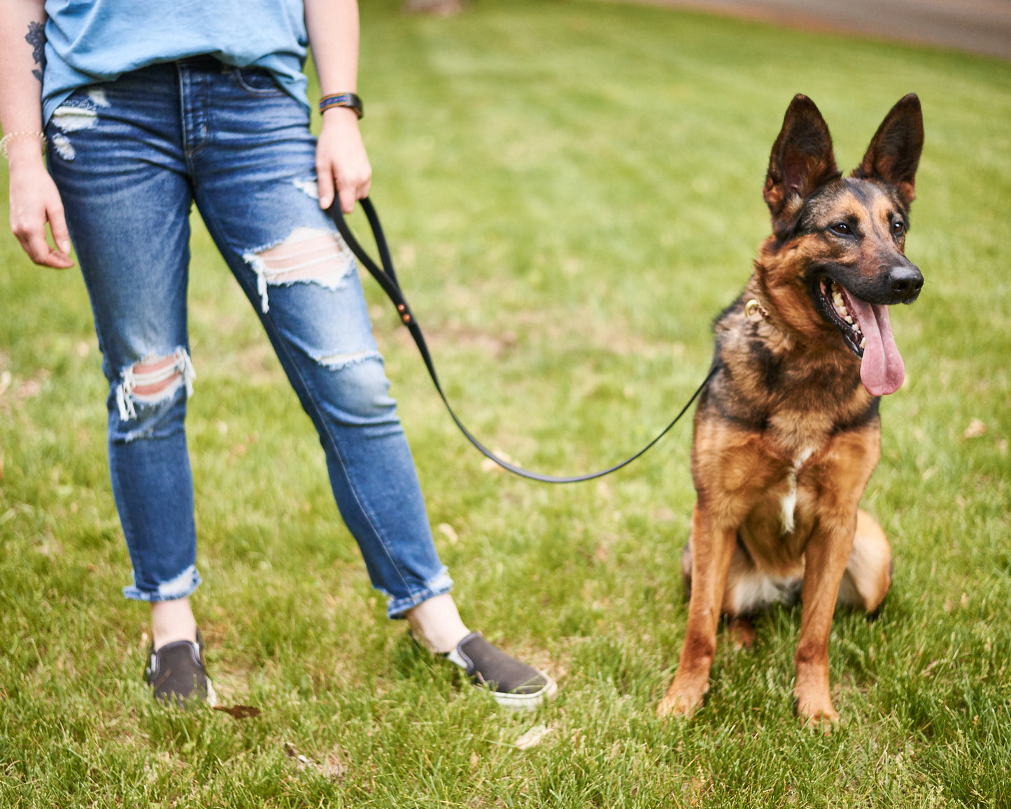 Standard 3 Foot Dog Leash: 3/4" Waterproof Biothane with Custom Colors and Natural Brass Hardware