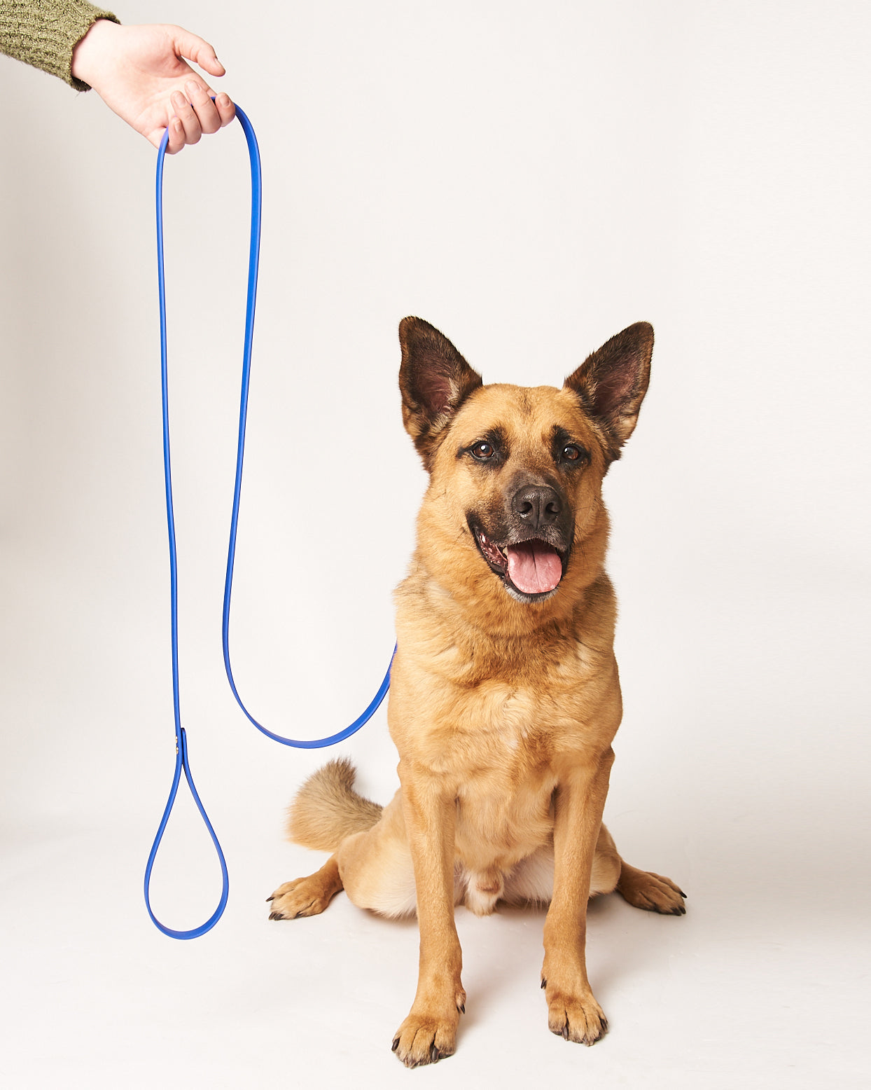 Standard 6 Foot Dog Leash: 3/4" Waterproof Biothane with Custom Colors and Natural Brass Hardware
