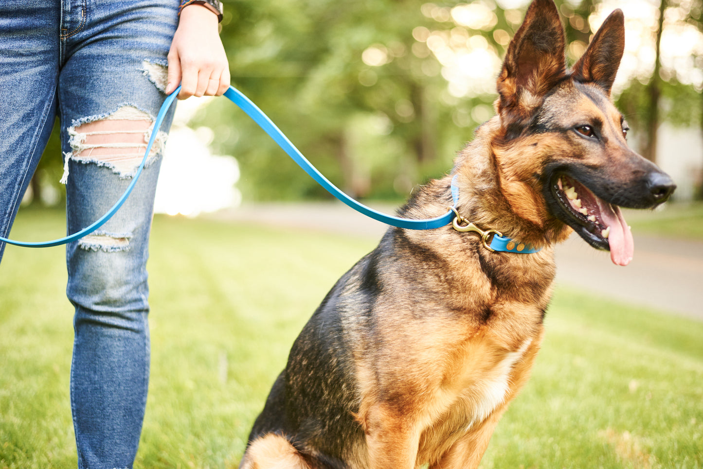 Modular Hands-Free "Police" Leash: 3/4" Waterproof Biothane with Custom Colors and Natural Brass Hardware