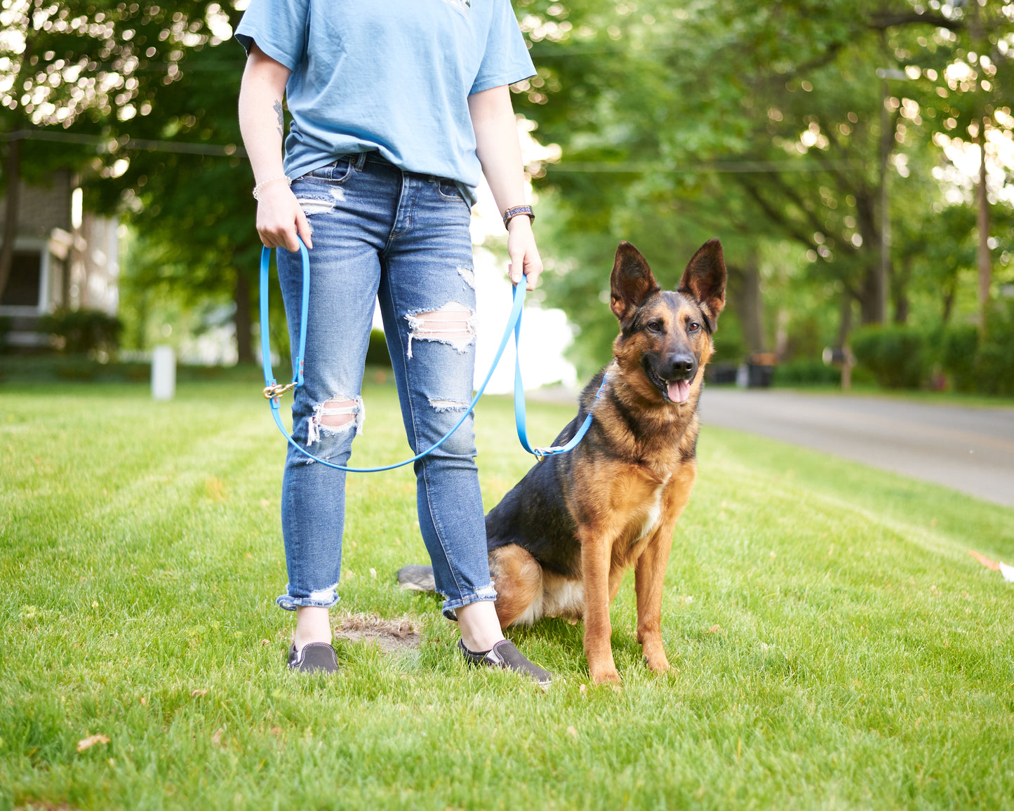 Modular Hands-Free "Police" Leash: 3/4" Waterproof Biothane with Custom Colors and Natural Brass Hardware