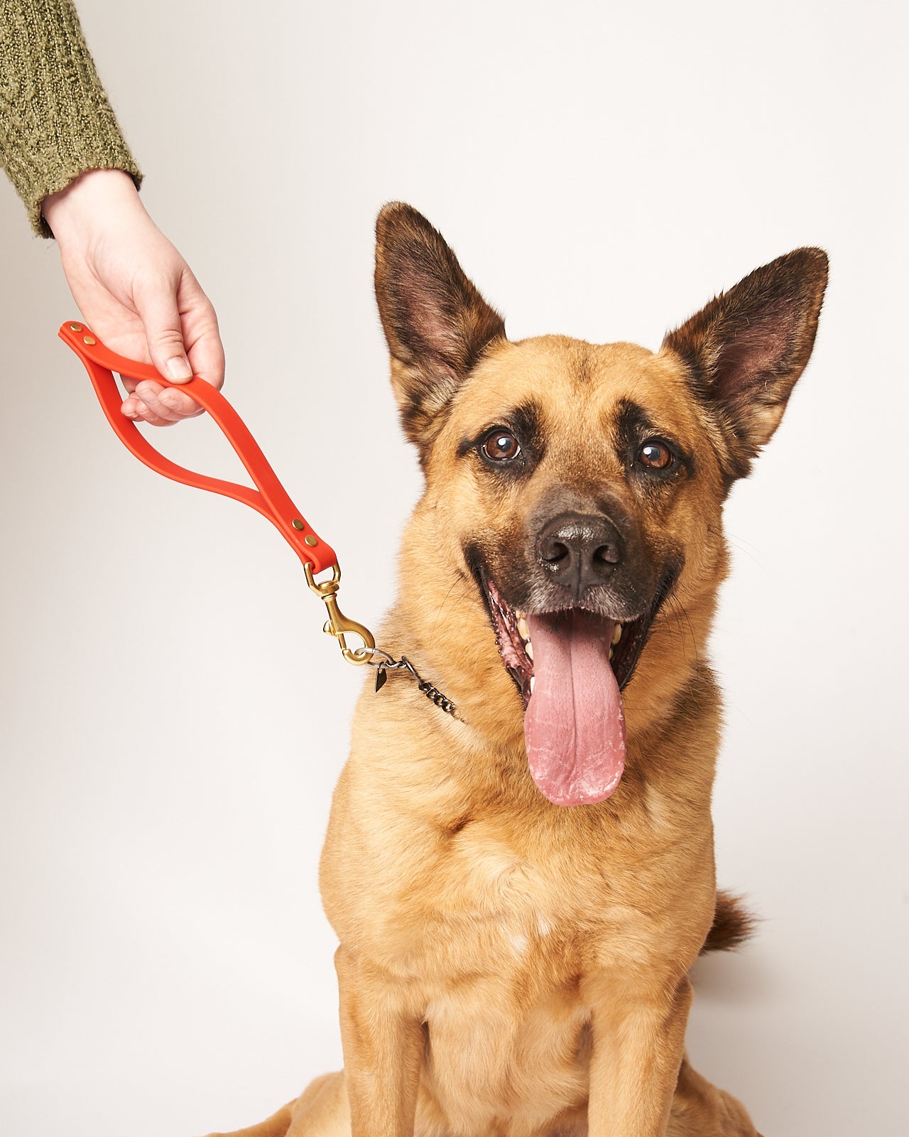 Flat-Loop Dog Training Tab: 3/4" Waterproof Biothane with Natural Brass Hardware