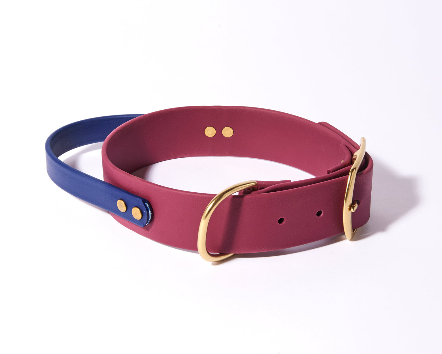 Buckle Collar with Handle for dock Jumping, Fast Cat, Agitation: 1-1/2" Waterproof Biothane with Custom Colors and Natural Brass Hardware