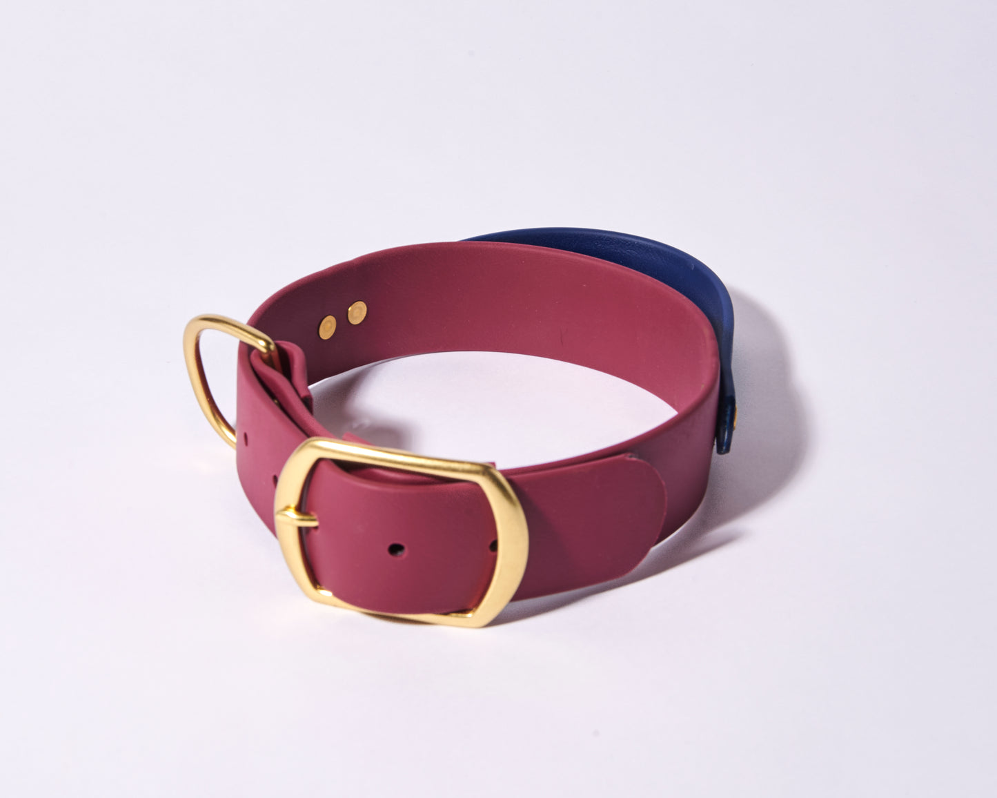 Buckle Collar with Handle for dock Jumping, Fast Cat, Agitation: 1-1/2" Waterproof Biothane with Custom Colors and Natural Brass Hardware