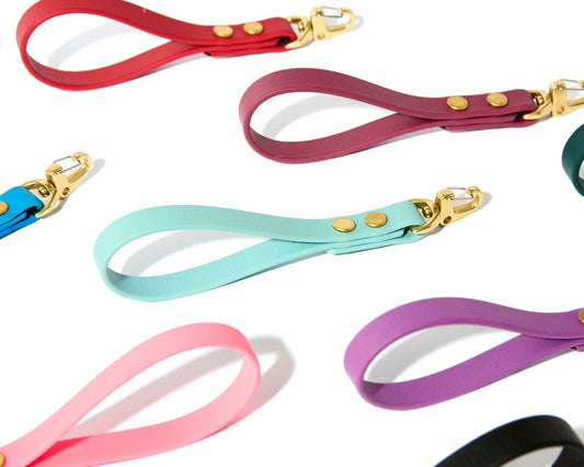 Biothane Mini Keychain: 1/2" Waterproof Lanyard, ID tag, Educator Remote Holder with Solid Brass Hardware