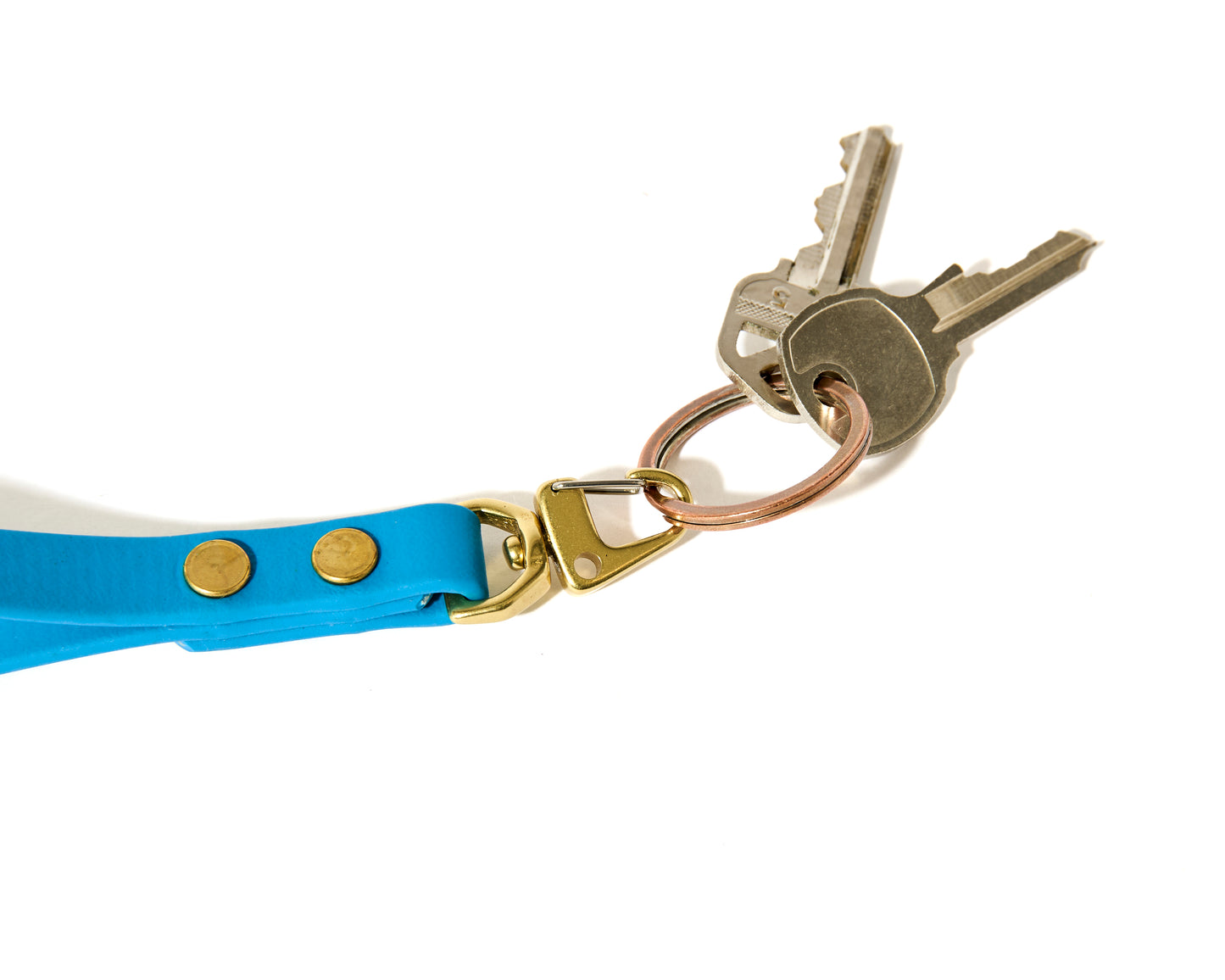Biothane Mini Keychain: 1/2" Waterproof Lanyard, ID tag, Educator Remote Holder with Solid Brass Hardware
