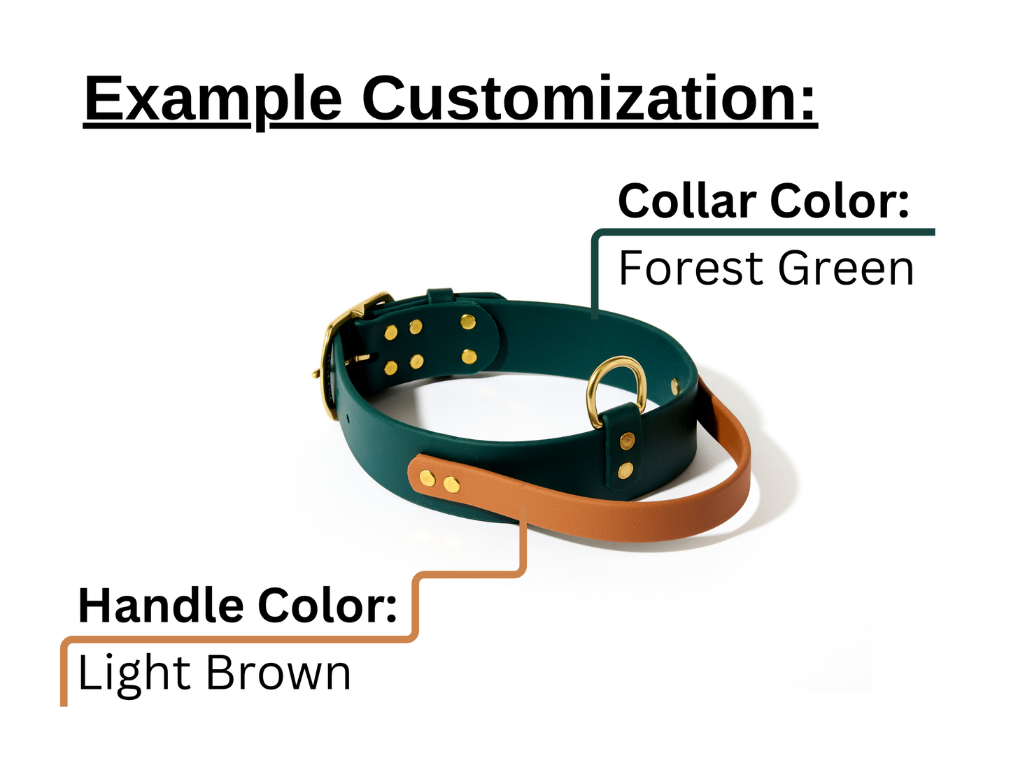 New! 2.0 Buckle Collar with Handle for Dock Jumping, Fast Cat, Agitation: 1-1/2" Waterproof Biothane with Custom Colors and Natural Brass Hardware