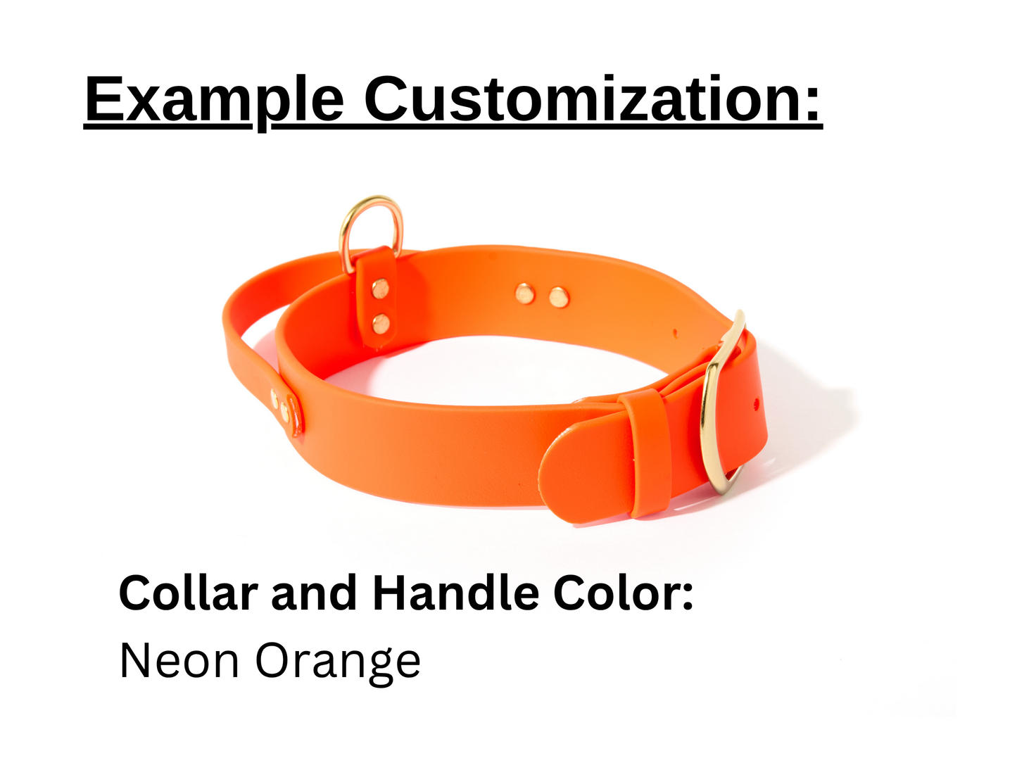 New! 2.0 Buckle Collar with Handle for Dock Jumping, Fast Cat, Agitation: 1-1/2" Waterproof Biothane with Custom Colors and Natural Brass Hardware