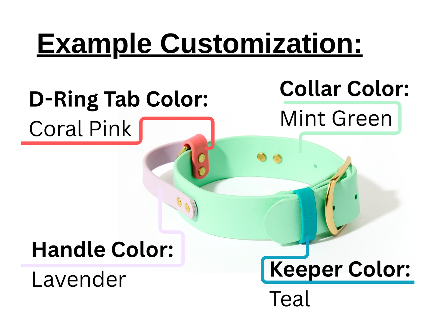New! 2.0 Buckle Collar with Handle for Dock Jumping, Fast Cat, Agitation: 1-1/2" Waterproof Biothane with Custom Colors and Natural Brass Hardware