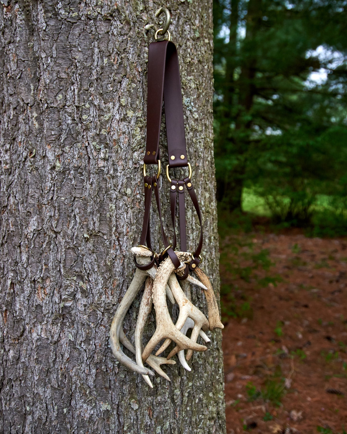 Game Tote Sling: Biothane Shoulder Strap with Solid Brass Hardware for Birds or Antlers - Holds 6