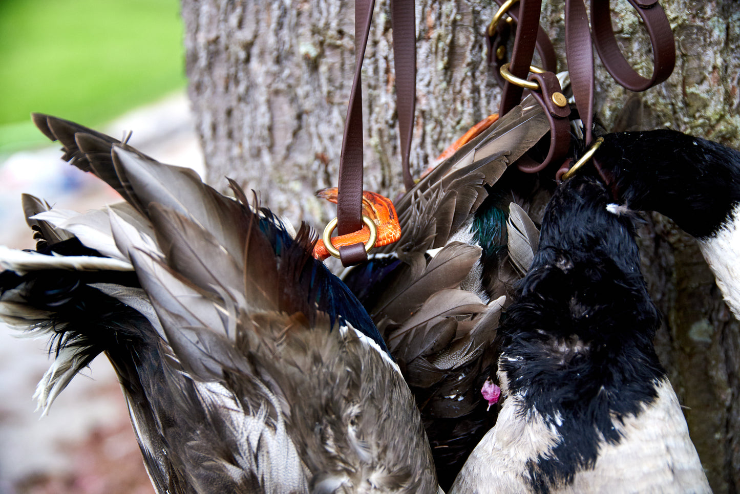 Game Tote Sling: Biothane Shoulder Strap with Solid Brass Hardware for Birds or Antlers - Holds 6