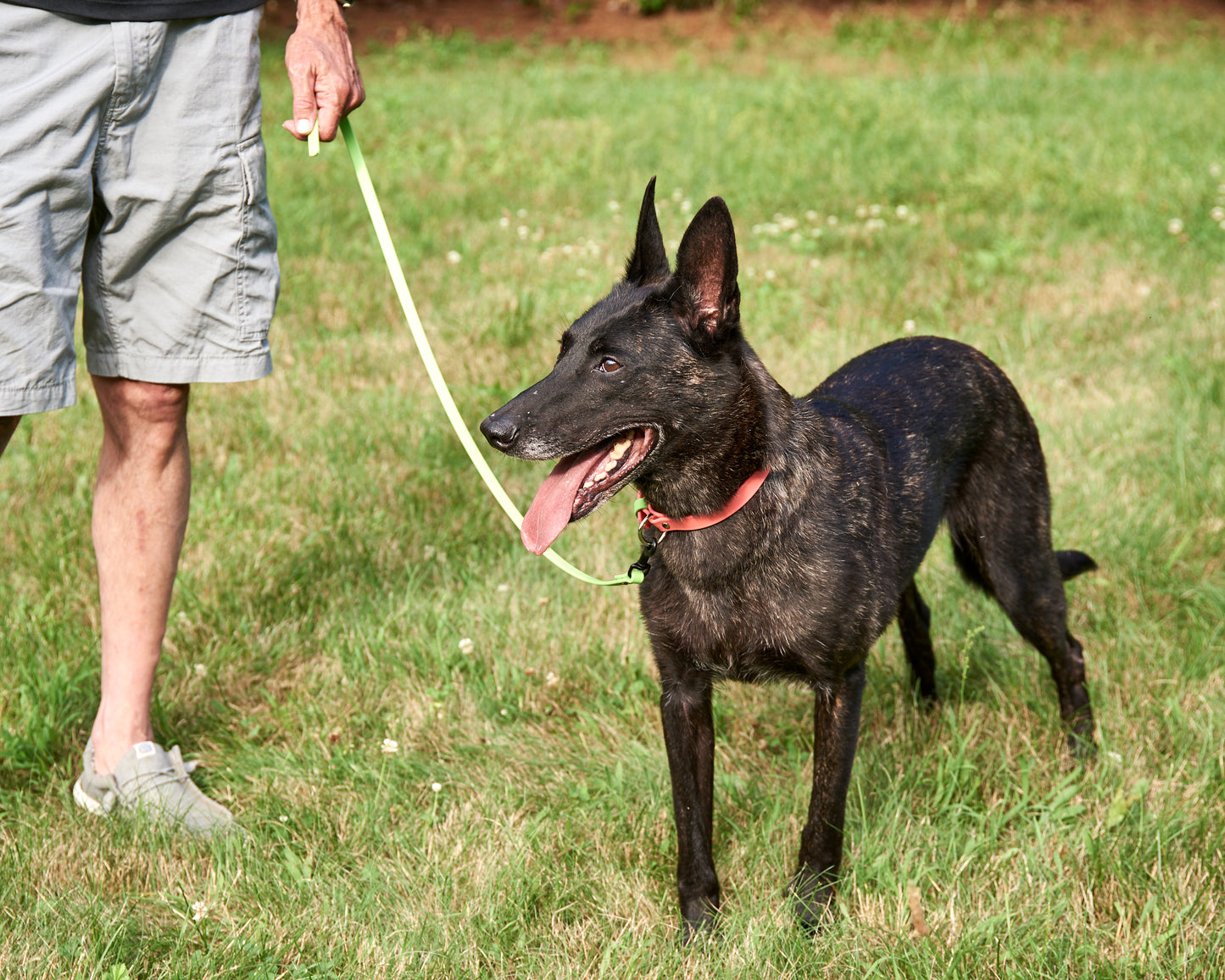 French Ring 1 Meter Raw End Leash: 1/2" Waterproof Biothane with Custom Colors and Hardware