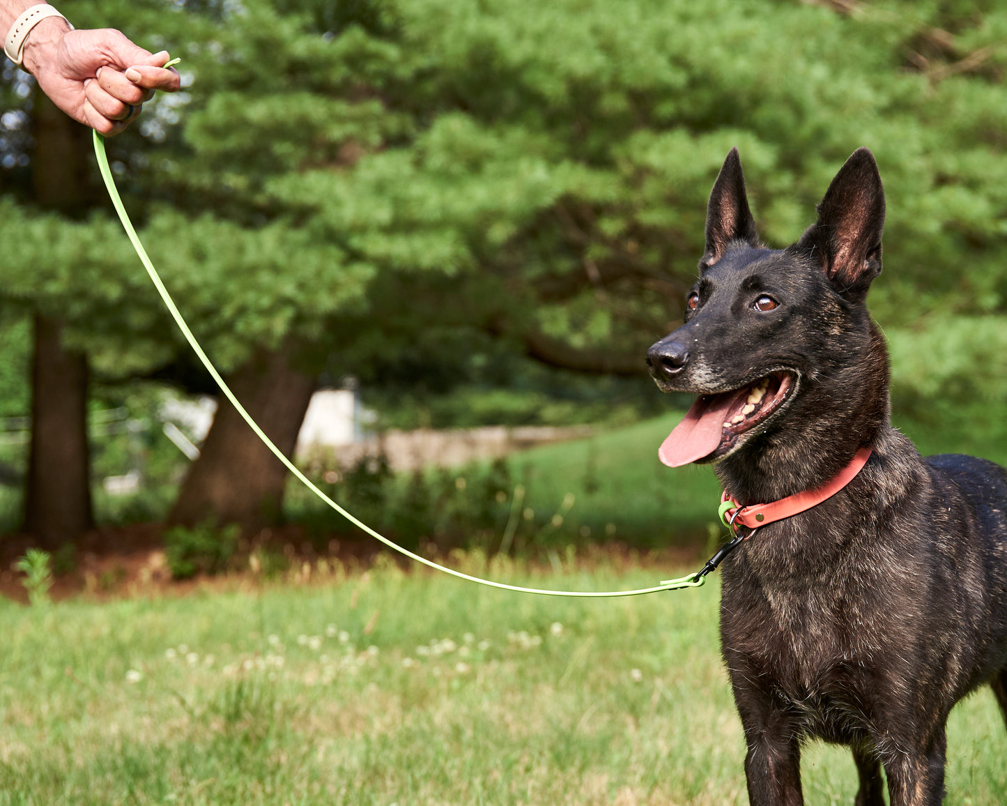 French Ring 1 Meter Raw End Leash: 1/2" Waterproof Biothane with Custom Colors and Hardware