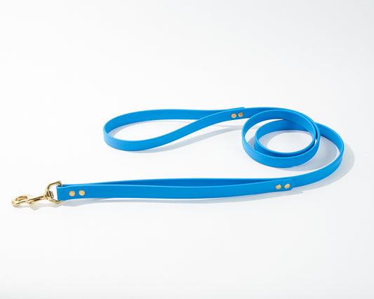 Flat Loop Double Handle Traffic Leash 2.0: Waterproof 3/4" Biothane with Natural Brass Hardware and Custom Colors