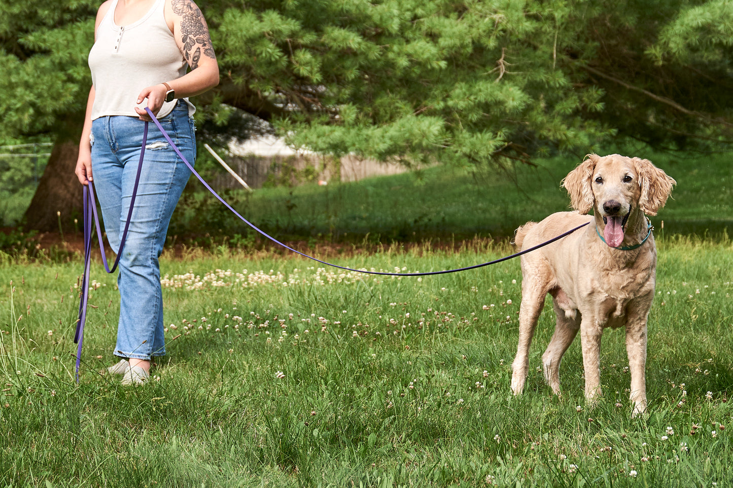 1/2" Waterproof Long Line: Biothane Tracking Drag Leash with Solid Brass Hardware and Custom Colors