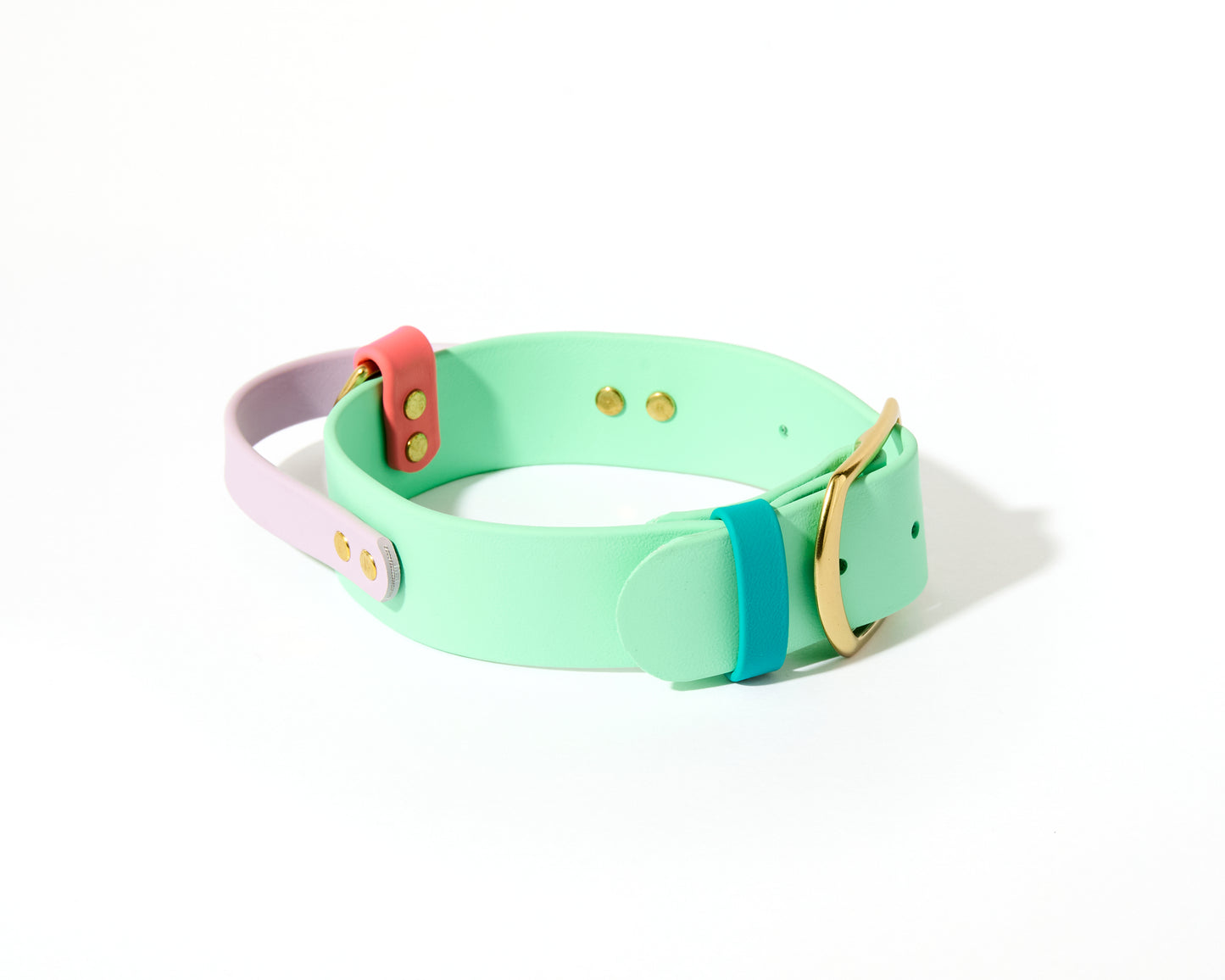 New! 2.0 Buckle Collar with Handle for Dock Jumping, Fast Cat, Agitation: 1-1/2" Waterproof Biothane with Custom Colors and Natural Brass Hardware