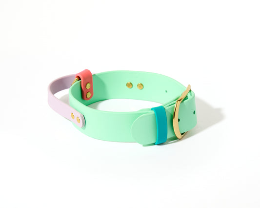 New! 2.0 Buckle Collar with Handle for Dock Jumping, Fast Cat, Agitation: 1-1/2" Waterproof Biothane with Custom Colors and Natural Brass Hardware