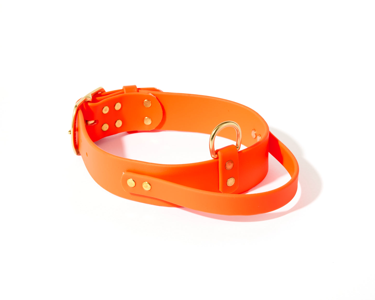 New! 2.0 Buckle Collar with Handle for Dock Jumping, Fast Cat, Agitation: 1-1/2" Waterproof Biothane with Custom Colors and Natural Brass Hardware