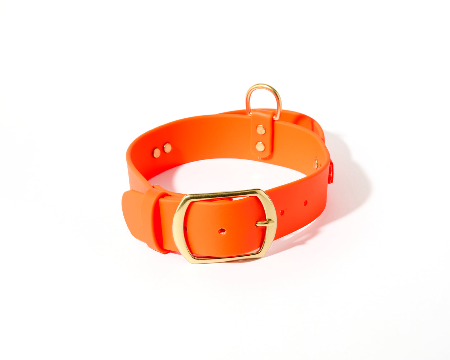 New! 2.0 Buckle Collar with Handle for Dock Jumping, Fast Cat, Agitation: 1-1/2" Waterproof Biothane with Custom Colors and Natural Brass Hardware