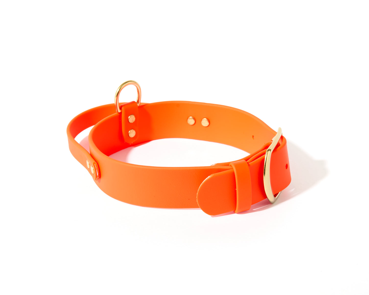 New! 2.0 Buckle Collar with Handle for Dock Jumping, Fast Cat, Agitation: 1-1/2" Waterproof Biothane with Custom Colors and Natural Brass Hardware