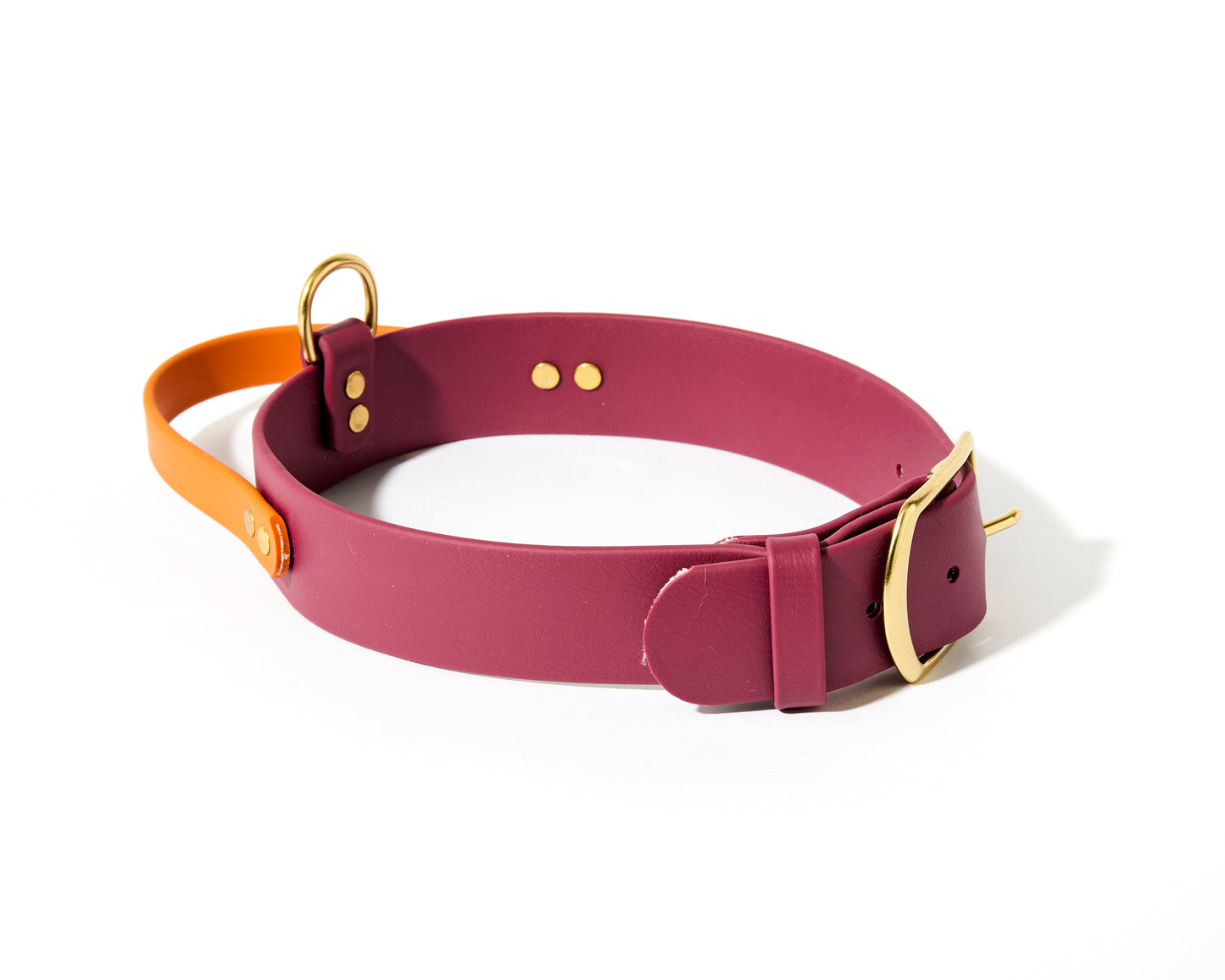 New! 2.0 Buckle Collar with Handle for Dock Jumping, Fast Cat, Agitation: 1-1/2" Waterproof Biothane with Custom Colors and Natural Brass Hardware