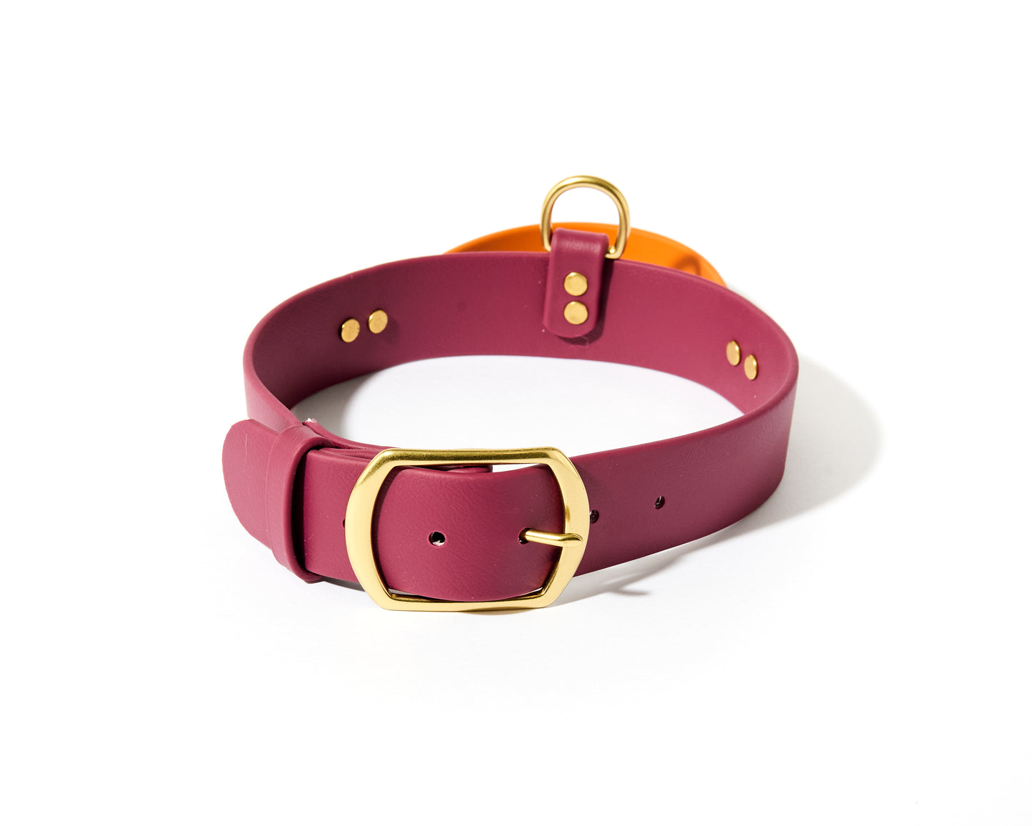 New! 2.0 Buckle Collar with Handle for Dock Jumping, Fast Cat, Agitation: 1-1/2" Waterproof Biothane with Custom Colors and Natural Brass Hardware