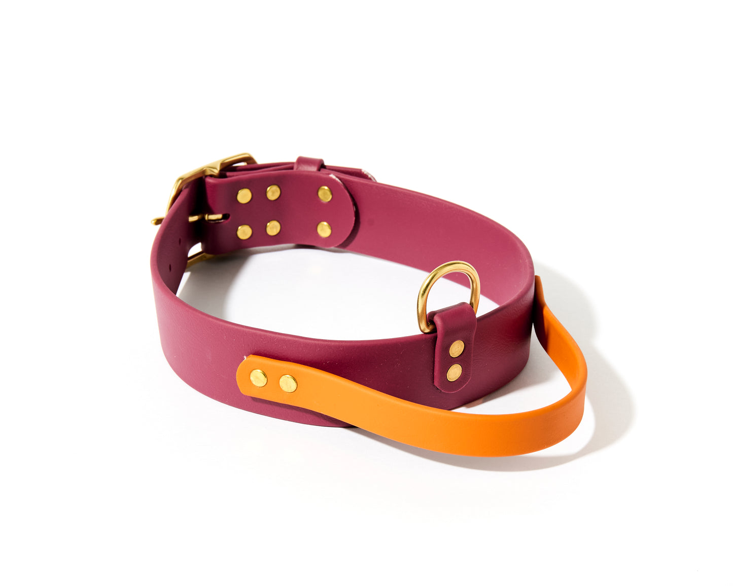 New! 2.0 Buckle Collar with Handle for Dock Jumping, Fast Cat, Agitation: 1-1/2" Waterproof Biothane with Custom Colors and Natural Brass Hardware