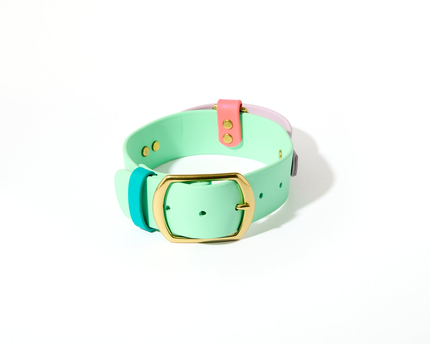 New! 2.0 Buckle Collar with Handle for Dock Jumping, Fast Cat, Agitation: 1-1/2" Waterproof Biothane with Custom Colors and Natural Brass Hardware