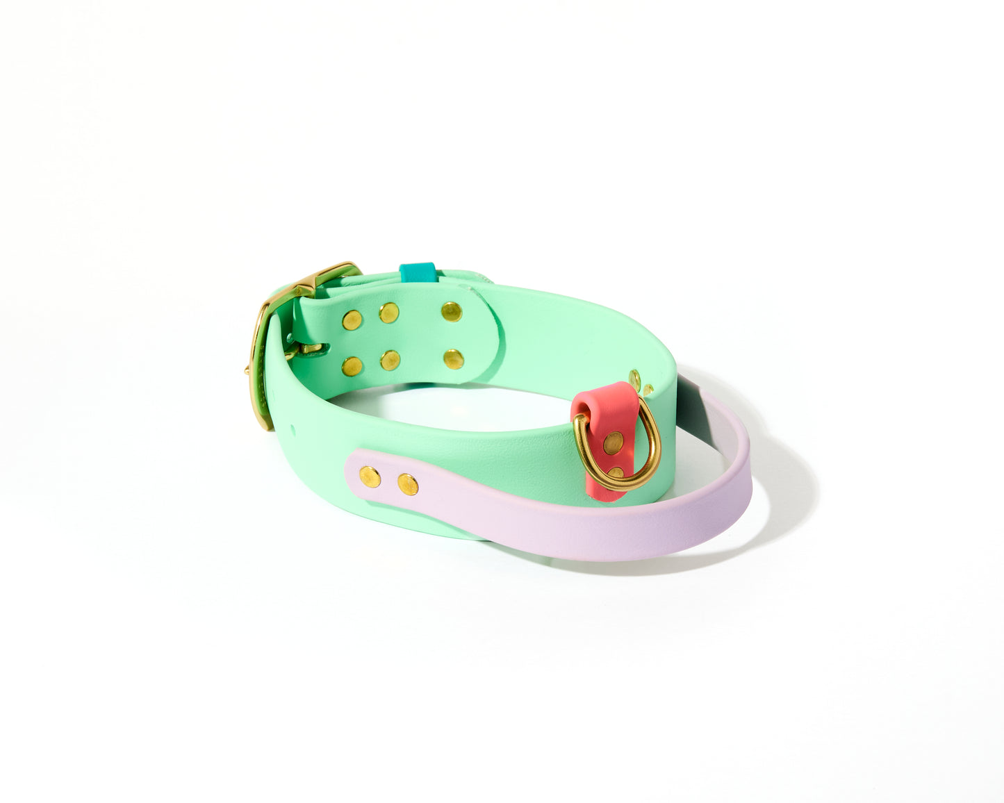 New! 2.0 Buckle Collar with Handle for Dock Jumping, Fast Cat, Agitation: 1-1/2" Waterproof Biothane with Custom Colors and Natural Brass Hardware