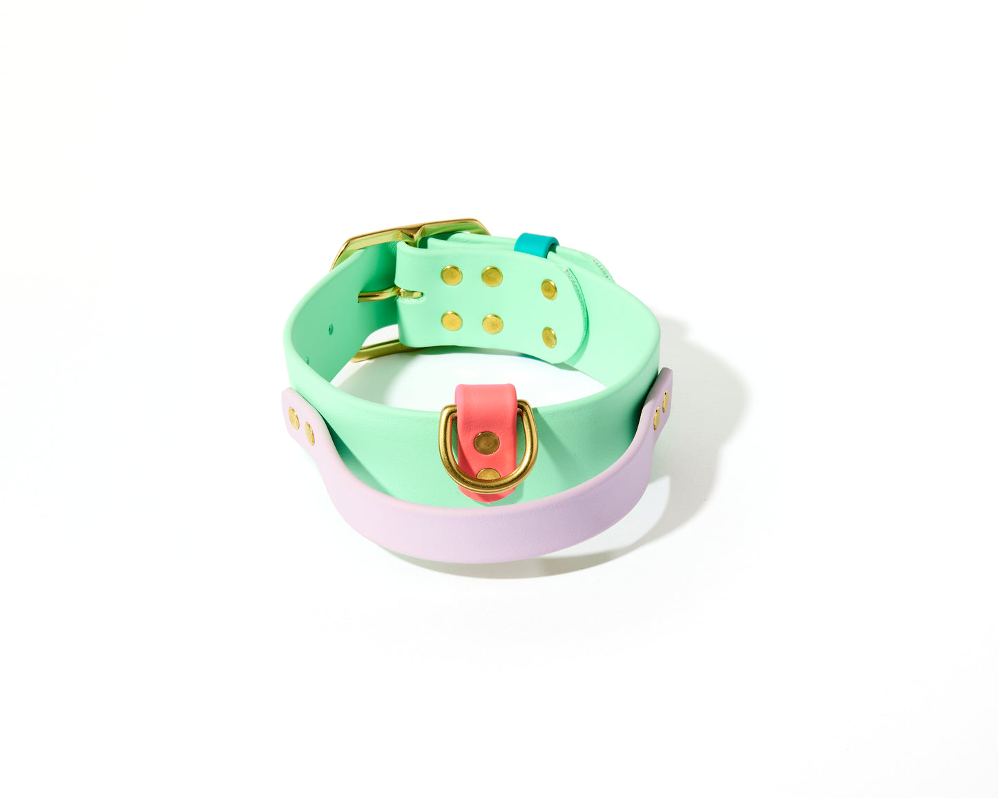 New! 2.0 Buckle Collar with Handle for Dock Jumping, Fast Cat, Agitation: 1-1/2" Waterproof Biothane with Custom Colors and Natural Brass Hardware