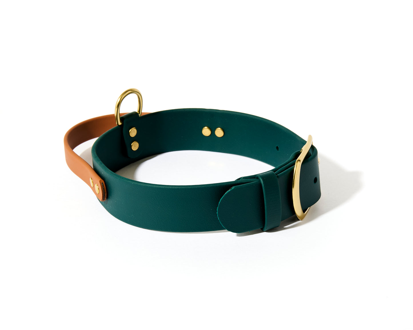 New! 2.0 Buckle Collar with Handle for Dock Jumping, Fast Cat, Agitation: 1-1/2" Waterproof Biothane with Custom Colors and Natural Brass Hardware