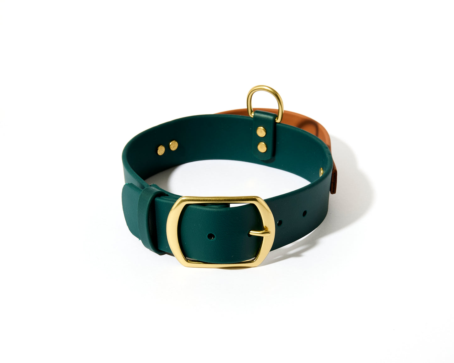 New! 2.0 Buckle Collar with Handle for Dock Jumping, Fast Cat, Agitation: 1-1/2" Waterproof Biothane with Custom Colors and Natural Brass Hardware