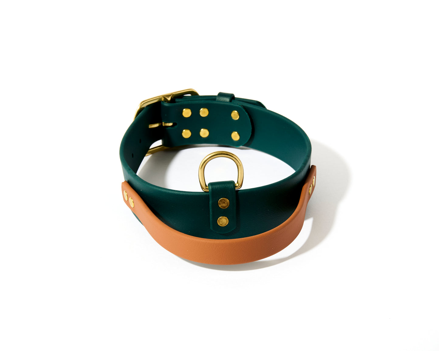 New! 2.0 Buckle Collar with Handle for Dock Jumping, Fast Cat, Agitation: 1-1/2" Waterproof Biothane with Custom Colors and Natural Brass Hardware