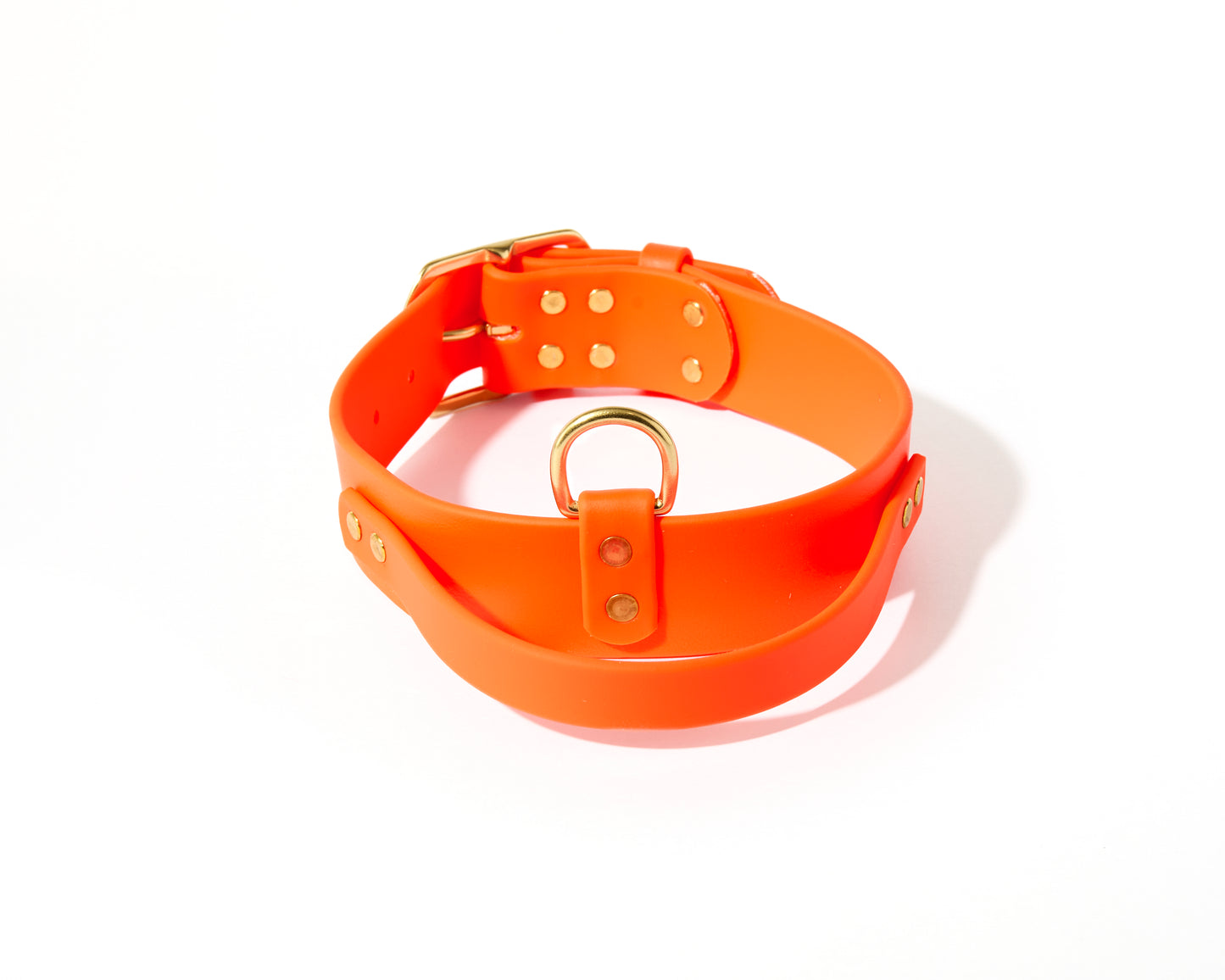 New! 2.0 Buckle Collar with Handle for Dock Jumping, Fast Cat, Agitation: 1-1/2" Waterproof Biothane with Custom Colors and Natural Brass Hardware