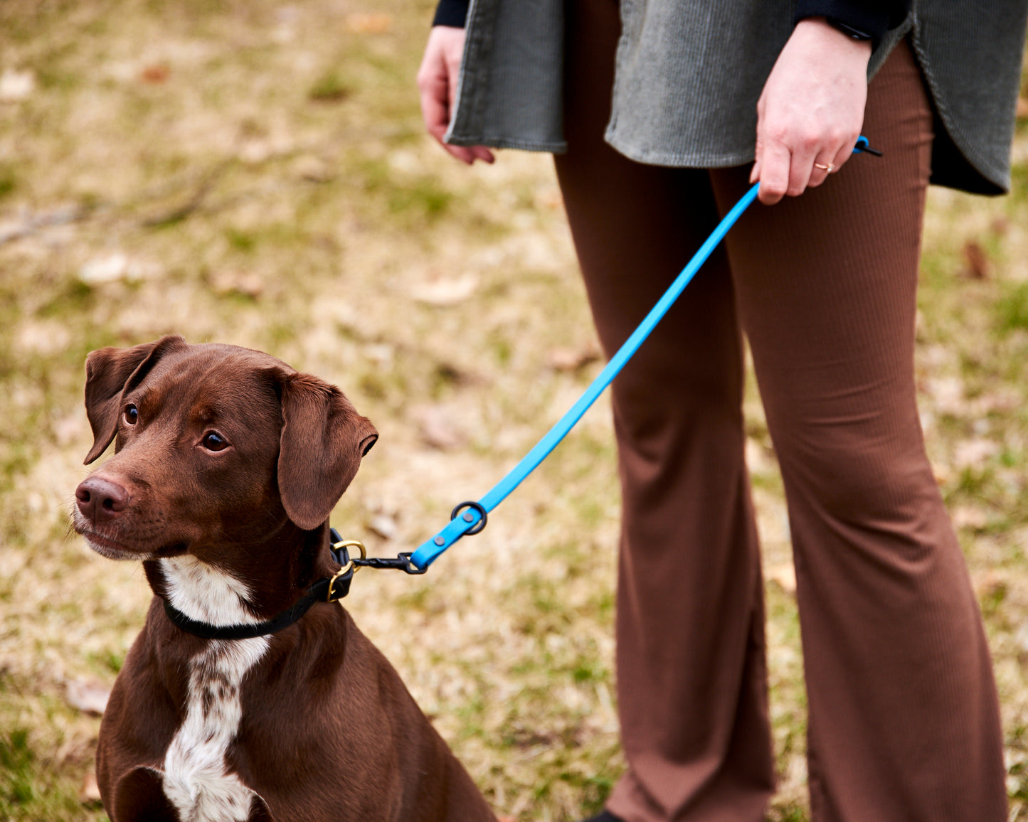 Modular 3-in-1 Dog Training Tab and Leash Extender: 1/2" Waterproof Biothane with Custom Colors and Hardware