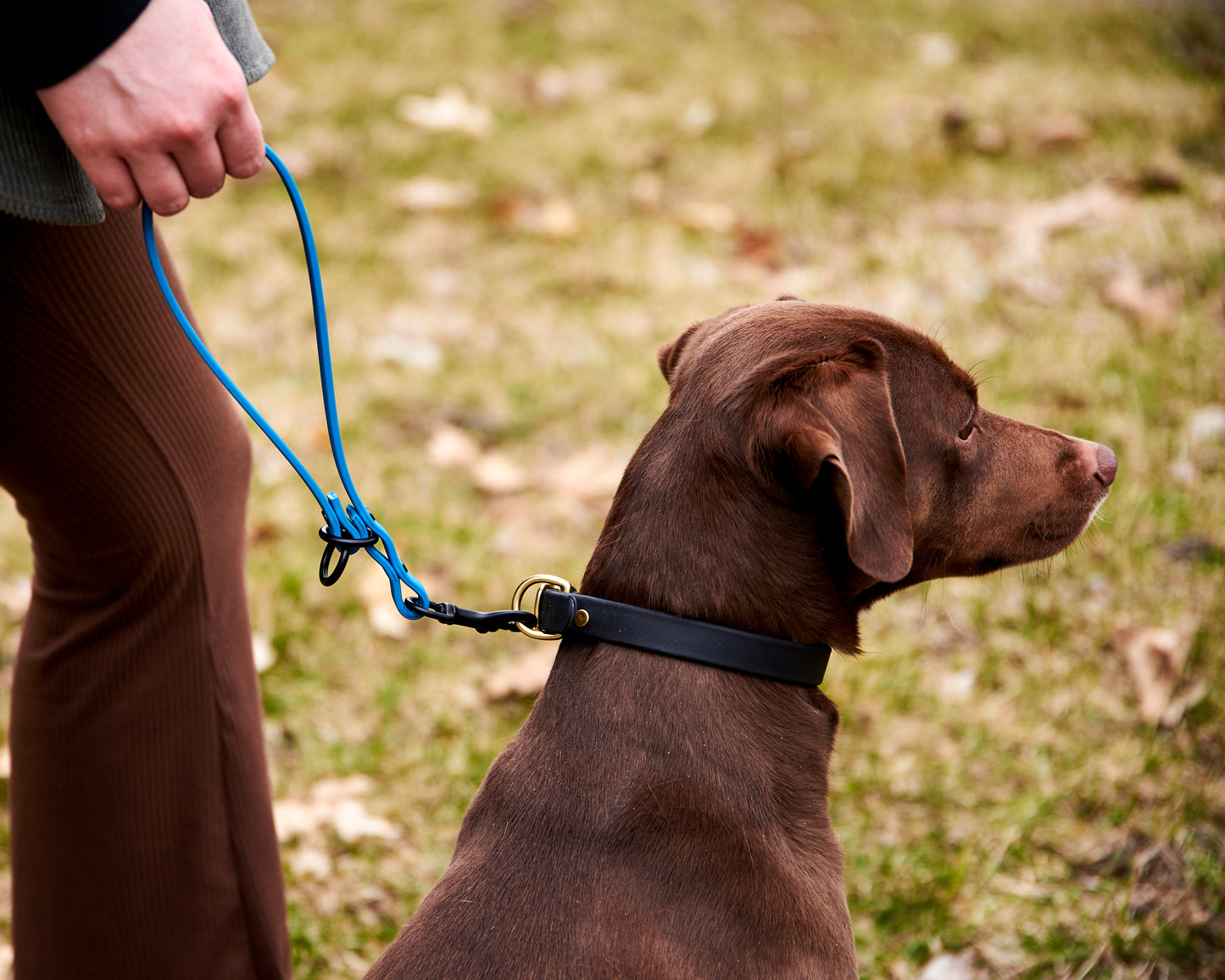 Modular 3-in-1 Dog Training Tab and Leash Extender: 1/2" Waterproof Biothane with Custom Colors and Hardware