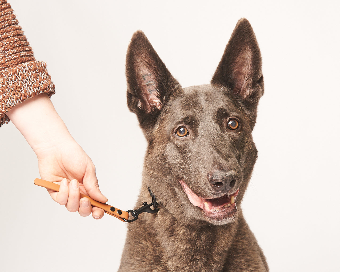 Raw End Dog Training Tab: 1/2" Waterproof Biothane with Matte Black Hardware, Custom Length and Color