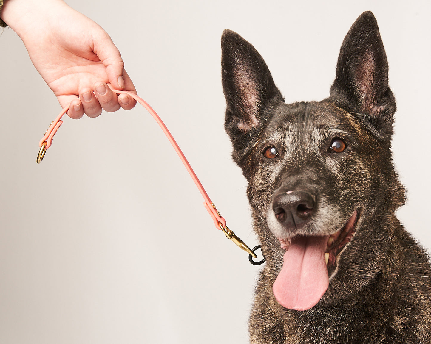 O-Ring Dog Training Tab and Leash Extender: 1/2" Waterproof Biothane with Natural Brass Hardware, Custom Length and Color