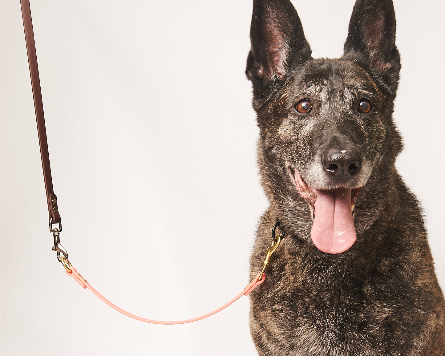 O-Ring Dog Training Tab and Leash Extender: 1/2" Waterproof Biothane with Natural Brass Hardware, Custom Length and Color