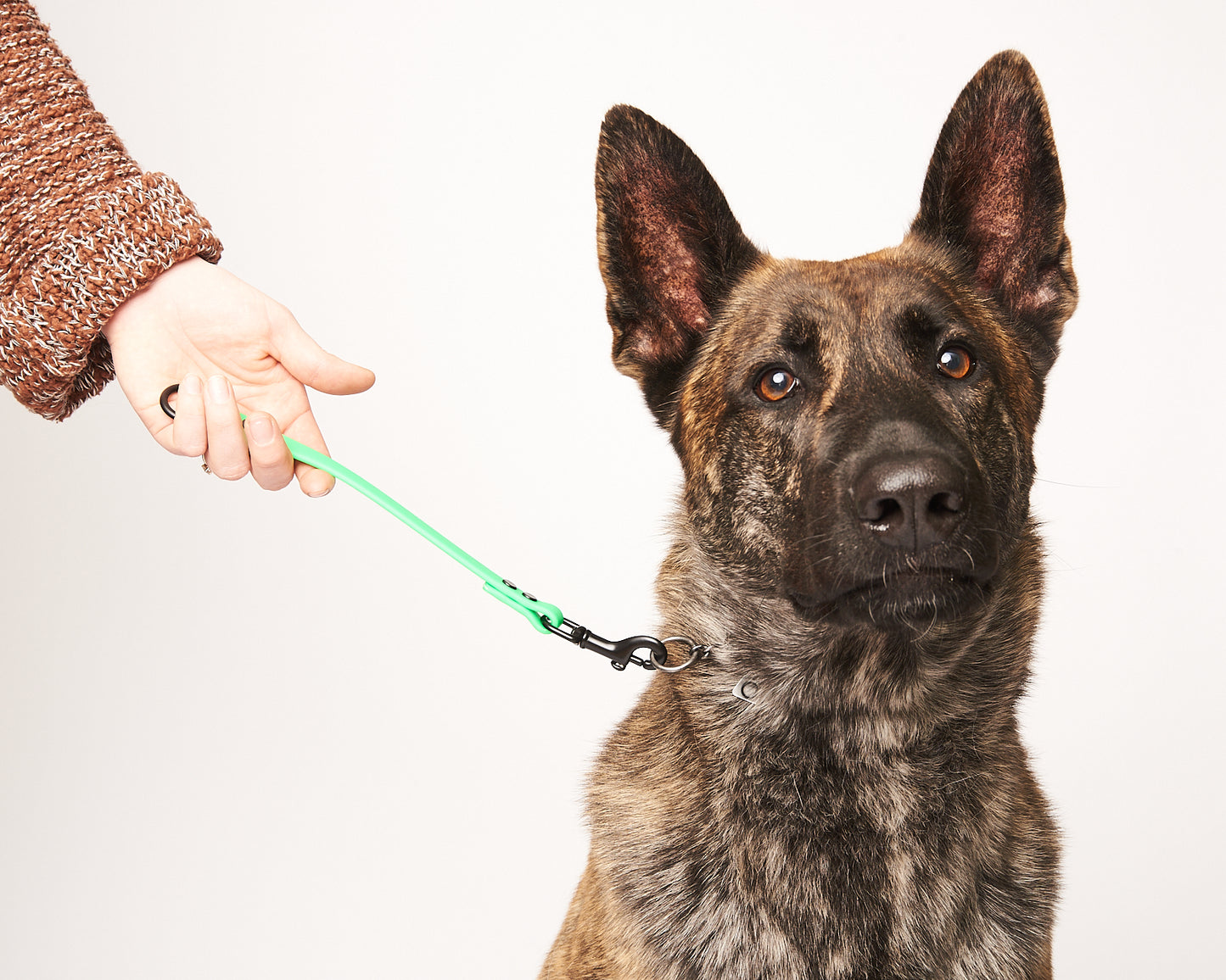 O-Ring Dog Training Tab and Leash Extender: 1/2" Waterproof Biothane with Black Hardware, Custom Length and Color