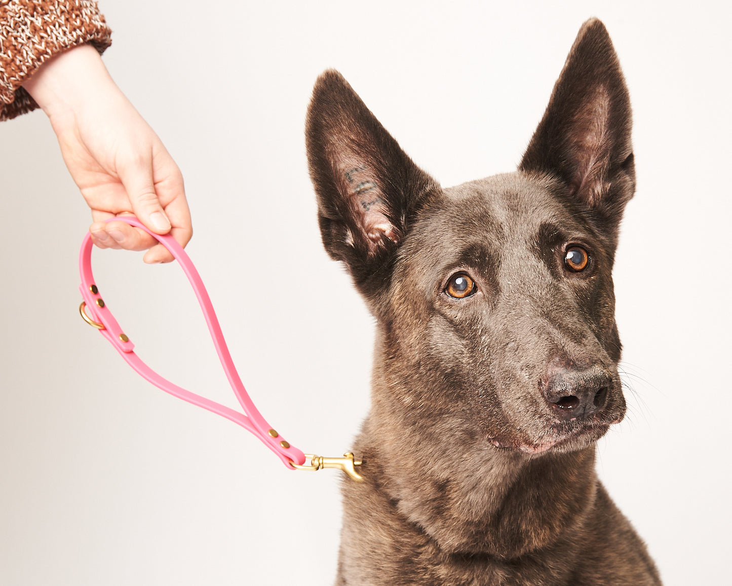 Traffic Loop Dog Training Tab and Leash Extender: 1/2" Waterproof Biothane with Custom Colors and Hardware