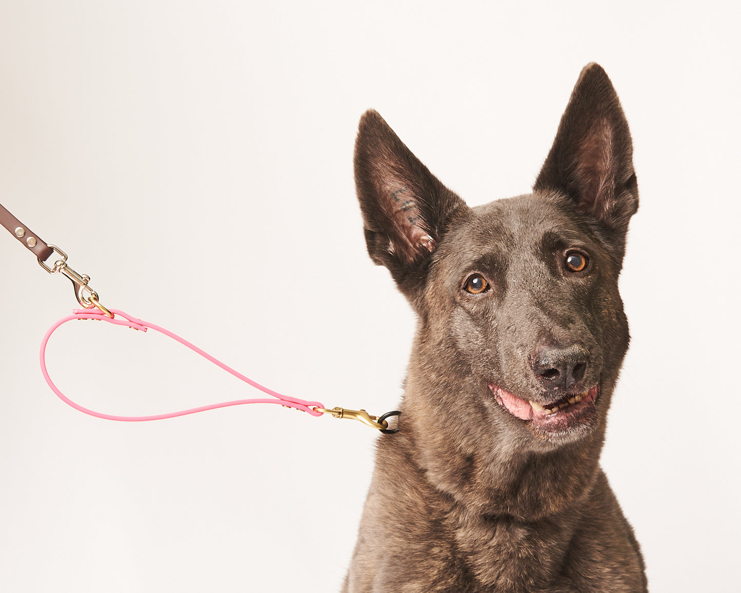 Traffic Loop Dog Training Tab and Leash Extender: 1/2" Waterproof Biothane with Custom Colors and Hardware